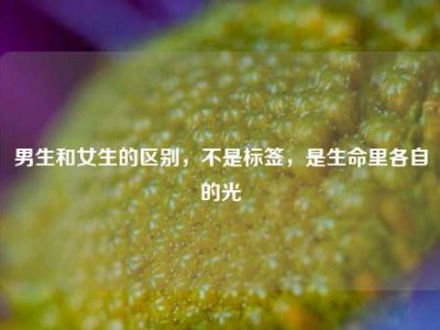 男生和女生的区别，不是标签，是生命里各自的光