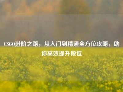 CSGO进阶之路，从入门到精通全方位攻略，助你高效提升段位