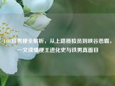 LOL铁男梗全解析，从上路质检员到峡谷恶霸，一文读懂梗王进化史与铁男真面目