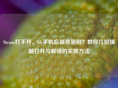 Steam打不开、LG手机忘锁屏密码？教你几招强制打开与解锁的实用方法