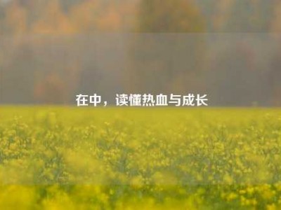 在中，读懂热血与成长