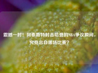 震撼一肘！阿泰斯特肘击哈登的NBA争议瞬间，究竟出自哪场比赛？
