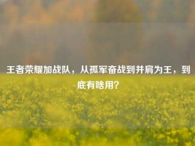 王者荣耀加战队，从孤军奋战到并肩为王，到底有啥用？