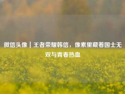 微信头像｜王者荣耀韩信，像素里藏着国士无双与青春热血