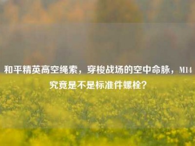 和平精英高空绳索，穿梭战场的空中命脉，M14究竟是不是标准件螺栓？