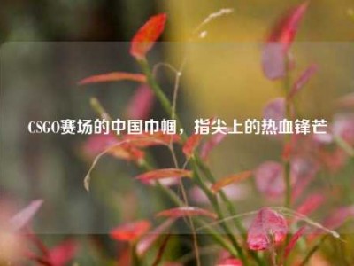 CSGO赛场的中国巾帼，指尖上的热血锋芒