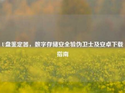 U盘鉴定器，数字存储安全验伪卫士及安卓下载指南