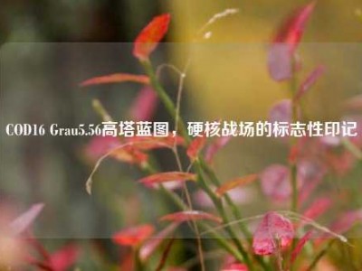 COD16 Grau5.56高塔蓝图，硬核战场的标志性印记