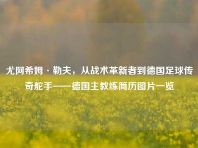 尤阿希姆·勒夫，从战术革新者到德国足球传奇舵手——德国主教练简历图片一览