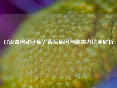 CF设置自动还原？背后原因与解决办法全解析