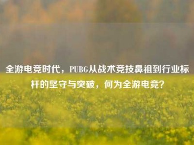 全游电竞时代，PUBG从战术竞技鼻祖到行业标杆的坚守与突破，何为全游电竞？
