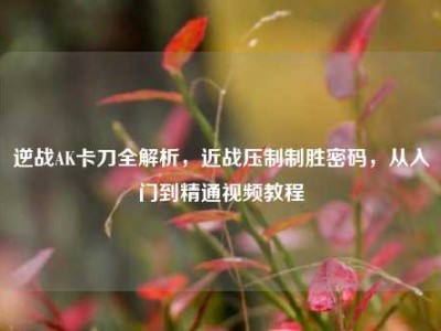 逆战AK卡刀全解析，近战压制制胜密码，从入门到精通视频教程