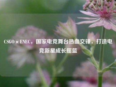 CSGO×ENEC，国家电竞舞台热血交锋，打造电竞新星成长摇篮