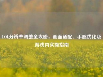 LOL分辨率调整全攻略，画面适配、手感优化及游戏内实操指南