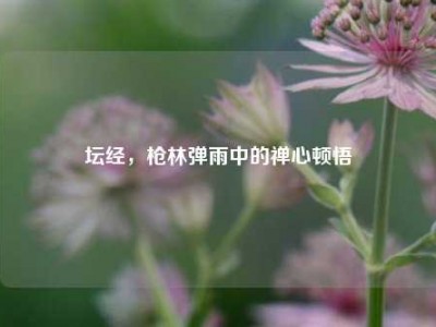 坛经，枪林弹雨中的禅心顿悟