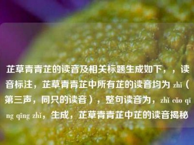 芷草青青芷的读音及相关标题生成如下，，读音标注，芷草青青芷中所有芷的读音均为 zhǐ（第三声，同只的读音），整句读音为，zhǐ cǎo qīng qīng zhǐ，生成，芷草青青芷中芷的读音揭秘