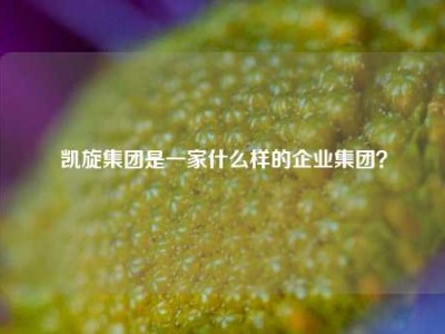 凯旋集团是一家什么样的企业集团？