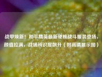 战甲焕新！和平精英最新硬核战斗服装登场，颜值拉满，战场辨识度飙升（附高清展示图）