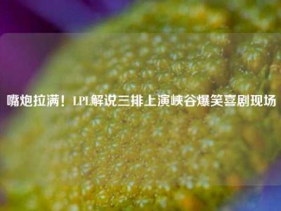 嘴炮拉满！LPL解说三排上演峡谷爆笑喜剧现场