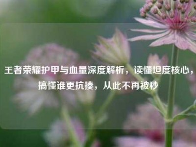 王者荣耀护甲与血量深度解析，读懂坦度核心，搞懂谁更抗揍，从此不再被秒