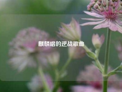 麒麟唱的逆战歌曲
