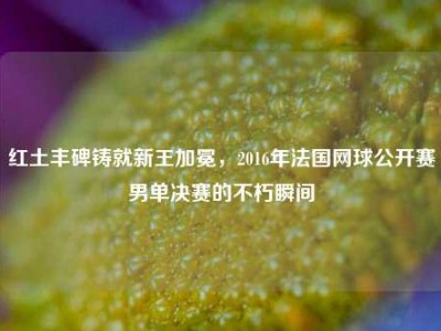 红土丰碑铸就新王加冕，2016年法国网球公开赛男单决赛的不朽瞬间