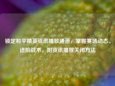 锁定和平精英资讯播放通道，掌握赛场动态、进阶战术，附资讯播放关闭方法