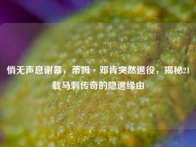 悄无声息谢幕，蒂姆·邓肯突然退役，揭秘21载马刺传奇的隐退缘由