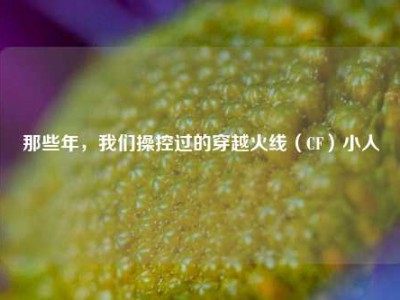 那些年，我们操控过的穿越火线（CF）小人
