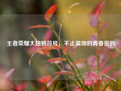 王者荣耀大翅膀符号，不止装饰的青春密码
