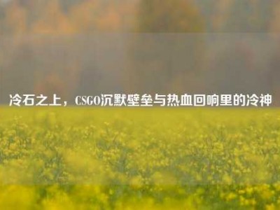 冷石之上，CSGO沉默壁垒与热血回响里的冷神