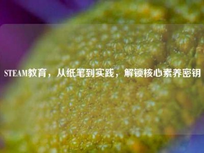 STEAM教育，从纸笔到实践，解锁核心素养密钥
