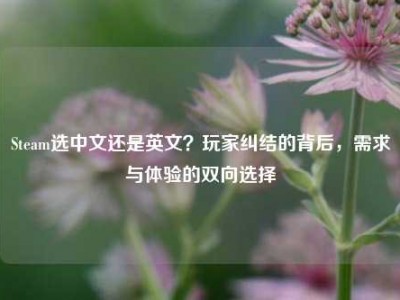 Steam选中文还是英文？玩家纠结的背后，需求与体验的双向选择