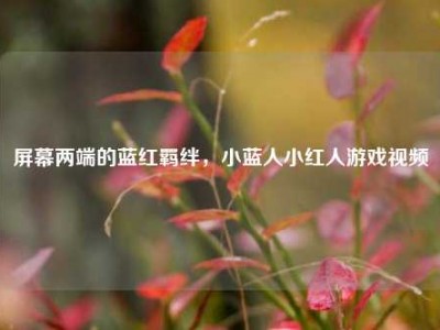 屏幕两端的蓝红羁绊，小蓝人小红人游戏视频