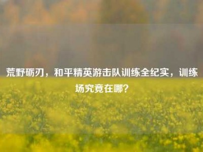 荒野砺刃，和平精英游击队训练全纪实，训练场究竟在哪？