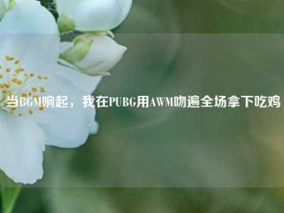 当BGM响起，我在PUBG用AWM吻遍全场拿下吃鸡
