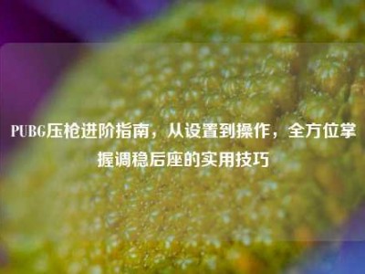 PUBG压枪进阶指南，从设置到操作，全方位掌握调稳后座的实用技巧