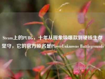 Steam上的PUBG，十年从现象级爆款到硬核生存坚守，它的官方原名是PlayerUnknowns Battlegrounds