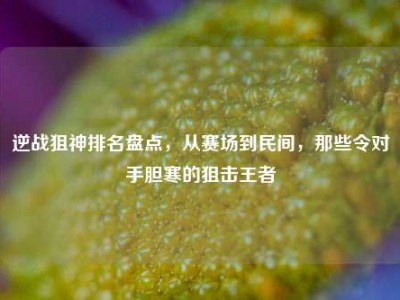 逆战狙神排名盘点，从赛场到民间，那些令对手胆寒的狙击王者