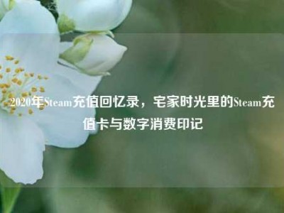 2020年Steam充值回忆录，宅家时光里的Steam充值卡与数字消费印记