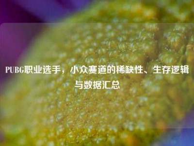 PUBG职业选手，小众赛道的稀缺性、生存逻辑与数据汇总