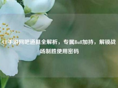 CF手游网吧道具全解析，专属Buff加持，解锁战场制胜使用密码