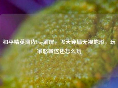 和平精英鹰佐bug刷屏，飞天穿墙无视地形，玩家怒喊这还怎么玩