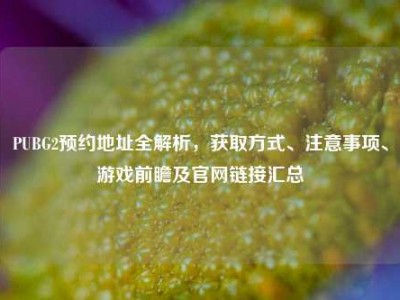 PUBG2预约地址全解析，获取方式、注意事项、游戏前瞻及官网链接汇总