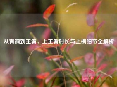 从青铜到王者，上王者时长与上榜细节全解析