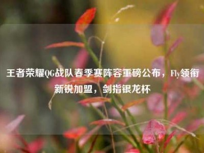王者荣耀QG战队春季赛阵容重磅公布，Fly领衔新锐加盟，剑指银龙杯