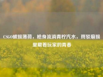 CSGO破损薄荷，枪身流淌青柠汽水，斑驳磨损里藏着玩家的青春