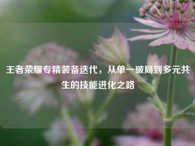 王者荣耀专精装备迭代，从单一破局到多元共生的技能进化之路