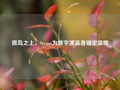 孤岛之上，Steam为数字漂流者锚定温暖