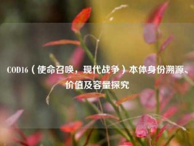 COD16（使命召唤，现代战争）本体身份溯源、价值及容量探究